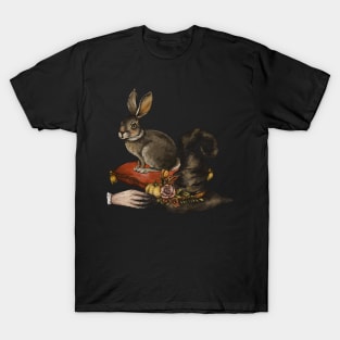 Rabbit and magic T-Shirt